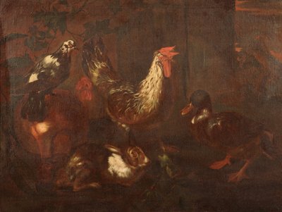 Poultry and Rabbits by Giovanni Francesco Cassana